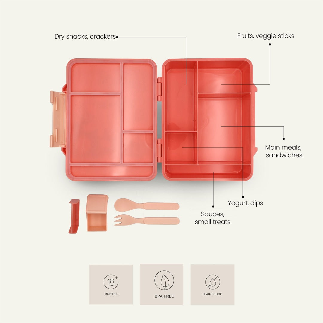 Bunny Bliss Bento Lunchbox – Cherry Bloom Pink– 6 Compartments