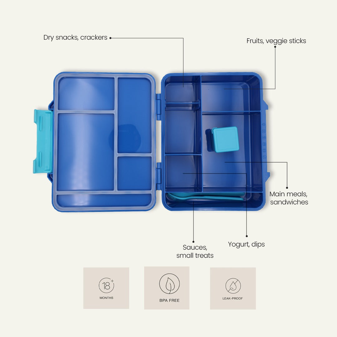 Soccer Sprint Bento Lunchbox  – Game Night Blue – 4 Compartments