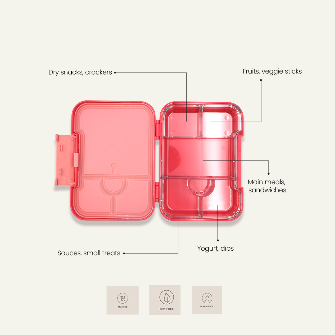 Magical Dreamer Bento Lunchbox – Little Girl Pink – 6 Compartments